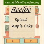 Spiced Apple Cake Recipe