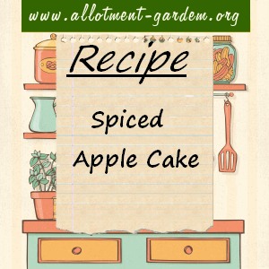 spiced apple cake