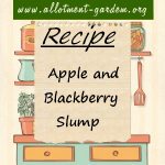 Apple and Blackberry Slump Recipe