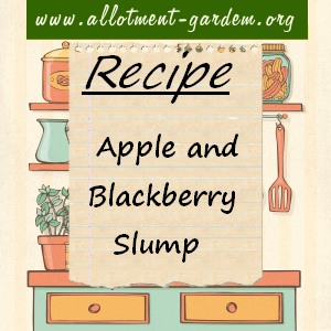 apple and blackberry slump