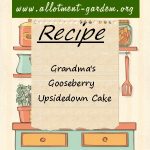 Grandma’s Gooseberry Upside-down Cake Recipe