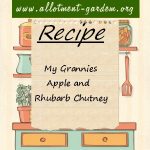 My Grannies Apple and Rhubarb Chutney Recipe