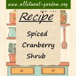 Spiced Cranberry Shrub Recipe