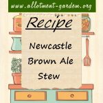 Newcastle Brown Ale Stew Recipe