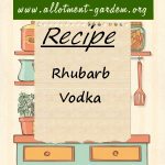 Rhubarb Vodka Recipe
