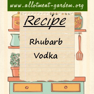 rhubarb vodka