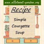 Simple Courgette Soup Recipe