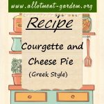 Greek Style Courgette and Cheese Pie Recipe