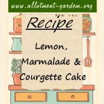 Lemon, Marmalade and Courgette Cake Recipe