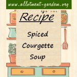 Spiced Courgette Soup Recipe