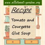 Tomato and Courgette Glut Soup Recipe