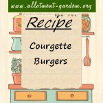 Courgette Burgers Recipe