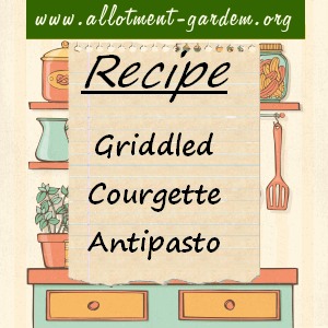 griddled courgette antipasto