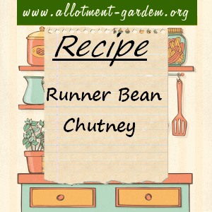 runner bean chutney