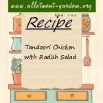 Tandoori Chicken with Radish Salad Recipe