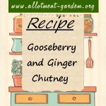 Gooseberry and Ginger Chutney Recipe