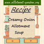 Creamy Onion Allotment Soup Recipe