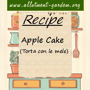 Apple Cake - torta con le mele
