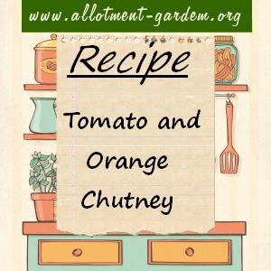 Tomato and Orange Chutney