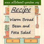 Warm Broad Bean and Feta Salad Recipe