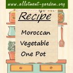 Moroccan Vegetable One Pot Recipe