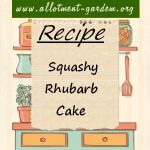 Squashy Rhubarb Cake Recipe