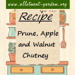 Prune, Apple and Walnut Chutney Recipe