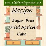 Sugar-Free Dried Apricot Cake Recipe
