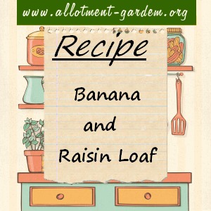 Banana and Raisin Loaf