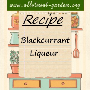 blackcurrant liqueur