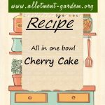 All in one bowl Cherry Cake Recipe