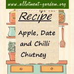 Apple, Date and Chilli Chutney Recipe
