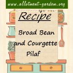 Broad Bean and Courgette Pilaf Recipe