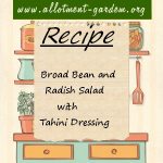 Broad Bean and Radish Salad with Tahini Dressing Recipe