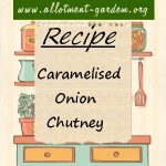 Caramelised Onion Chutney Recipe