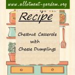 Chestnut Casserole Recipe with Cheese Dumplings