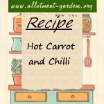 Hot Carrot and Chilli Chutney Recipe