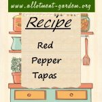 Red Pepper Tapas Recipe