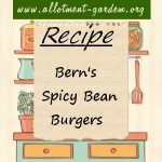 Bern’s Spicy Bean Burgers Recipe