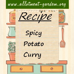 spicy potato curry