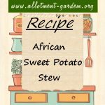 African Sweet Potato Stew Recipe