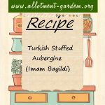 Turkish Stuffed Aubergine Recipe – Imam Bayildi (The priest fainted)