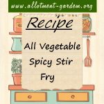 All Vegetable Spicy Stir Fry Recipe