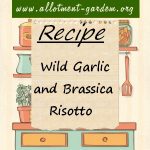 Wild Garlic and Brassica Risotto Recipe