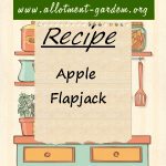 Apple Flapjack Recipe