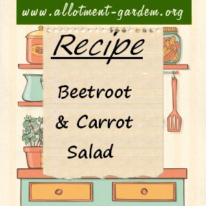beetroot and carrot