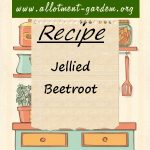 Jellied Beetroot Recipe