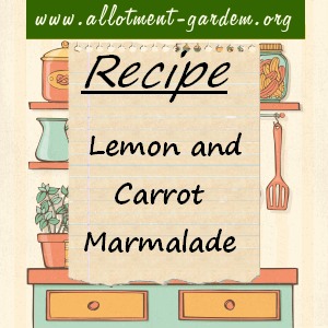 lemon and carrot marmalade