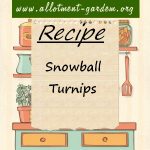 Snowball Turnips Recipe