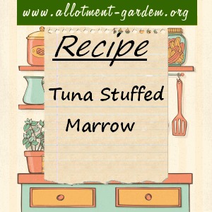 tuna stuffed marrow